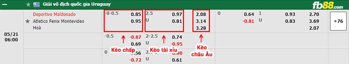 fb88-bảng kèo trận đấu Deportivo Maldonado vs Centro Fenix