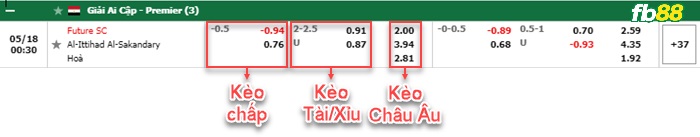 Fb88 bảng kèo trận đấu Future vs Ittihad Alexandria
