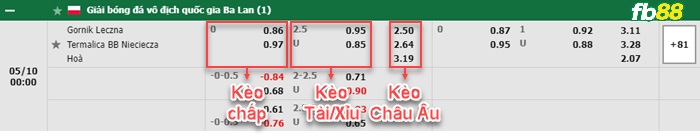 Fb88 bảng kèo trận đấu Gornik Leczna vs Bruk Bet