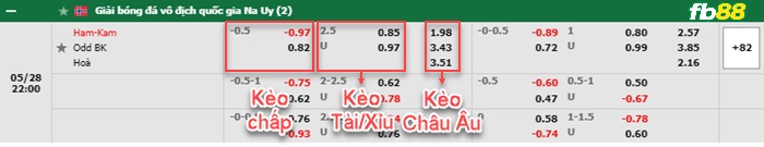 Fb88 bảng kèo trận đấu HamKam vs Odd Grenland