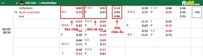 fb88-bảng kèo trận đấu Hoffenheim vs Bayer Leverkusen