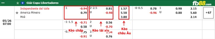 fb88-bảng kèo trận đấu Ind Del Valle vs America MG