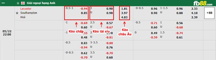 fb88-bảng kèo trận đấu Leicester vs Southampton