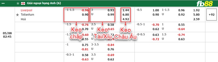 Fb88 bảng kèo trận đấu Liverpool vs Tottenham