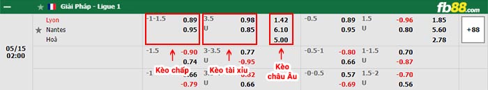 fb88-bảng kèo trận đấu Lyon vs Nantes