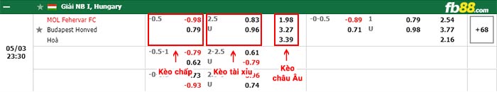 fb88-bảng kèo trận đấu MOL Fehervar vs Budapest Honved