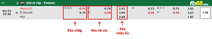 fb88-bảng kèo trận đấu Pharco vs El Gounah