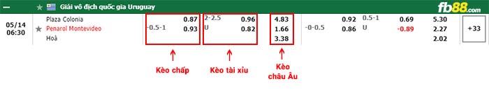 fb88-bảng kèo trận đấu Plaza Colonia vs Penarol