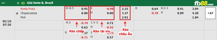 fb88-bảng kèo trận đấu Ponte Preta vs Chapecoense