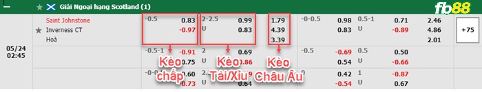 Fb88 bảng kèo trận đấu St. Johnstone vs Inverness