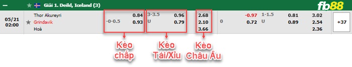 Fb88 bảng kèo trận đấu Thor Akureyri vs Grindavik