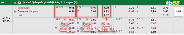 Fb88 bảng kèo trận đấu Vissel Kobe vs Consadole Sapporo