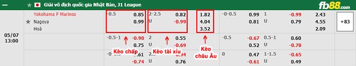 fb88-bảng kèo trận đấu Yokohama F Marinos vs Nagoya Grampus