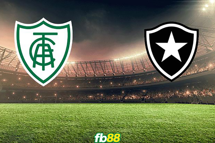 America MG vs Botafogo FR