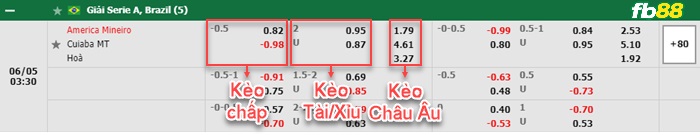 Fb88 bảng kèo trận đấu America MG vs Cuiaba