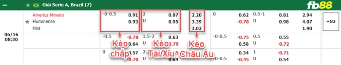 Fb88 bảng kèo trận đấu America MG vs Fluminense