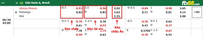 fb88-bảng kèo trận đấu Atletico Mineiro vs Flamengo