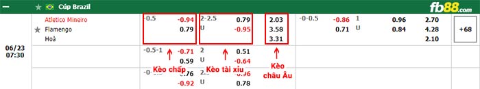 fb88-bảng kèo trận đấu Atletico Mineiro vs Flamengo