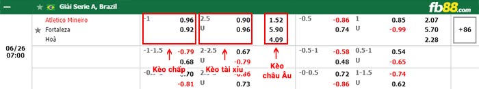 fb88-bảng kèo trận đấu Atletico Mineiro vs Fortaleza