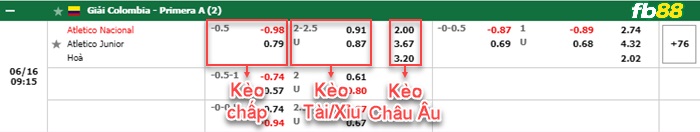 Fb88 bảng kèo trận đấu Atletico Nacional vs Atletico Junior