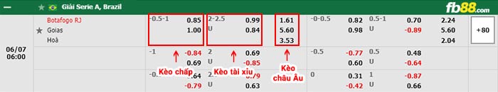 fb88-bảng kèo trận đấu Botafogo vs Goias