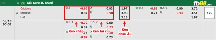 fb88-bảng kèo trận đấu Criciuma vs Brusque