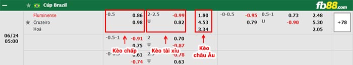 fb88-bảng kèo trận đấu Fluminense vs Cruzeiro