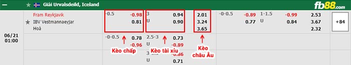 fb88-bảng kèo trận đấu Fram Reykjavik vs IBV Vestmannaeyjar