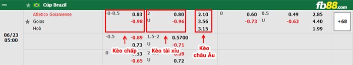 fb88-bảng kèo trận đấu Goianiense vs Goias