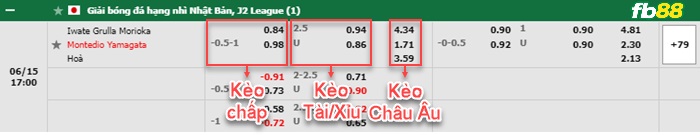 Fb88 bảng kèo trận đấu Grulla Morioka vs Montedio Yamagata