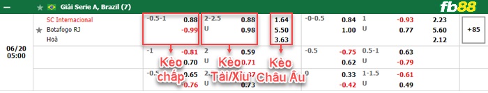 Fb88 bảng kèo trận đấu Internacional vs Botafogo