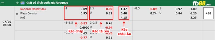 fb88-bảng kèo trận đấu Nacional Montevideo vs Plaza Colonia