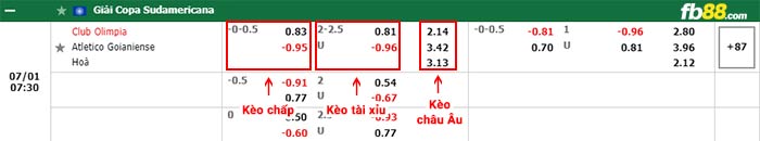 fb88-bảng kèo trận đấu Olimpia Asuncion vs Goianiense