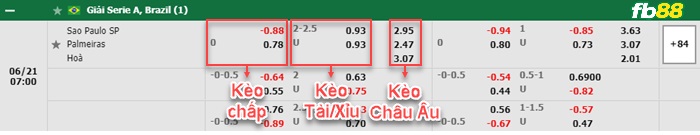 Fb88 bảng kèo trận đấu Sao Paulo vs Palmeiras