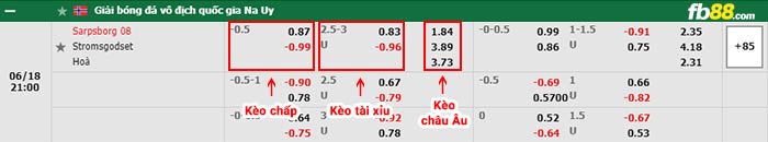 fb88-bảng kèo trận đấu Sarpsborg vs Stromsgodset