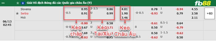 Fb88 bảng kèo trận đấu Slovenia vs Serbia