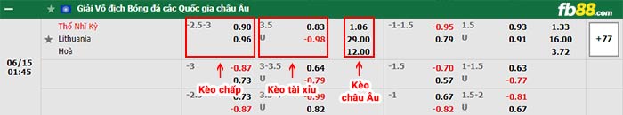 fb88-bảng kèo trận đấu Tho Nhi Ki vs Lithuania