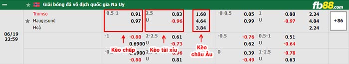 fb88-bảng kèo trận đấu Tromso vs Haugesund