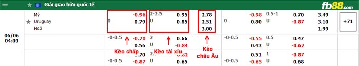 fb88-bảng kèo trận đấu USA vs Uruguay