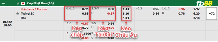 Fb88 bảng kèo trận đấu Yokohama F Marinos vs Tochigi