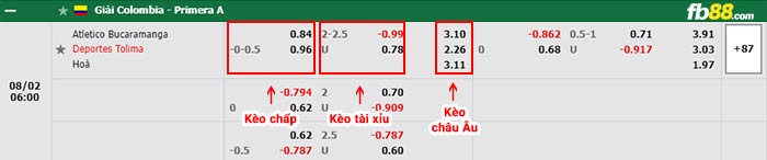 fb88-bảng kèo trận đấu Atletico Bucaramanga vs Deportes Tolima
