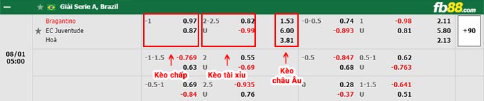 fb88-bảng kèo trận đấu Bragantino vs Juventude