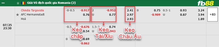 Fb88 bảng kèo trận đấu Chindia Targoviste vs Hermannstadt