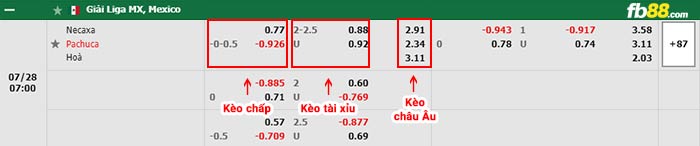 fb88-bảng kèo trận đấu Club Necaxa vs Pachuca