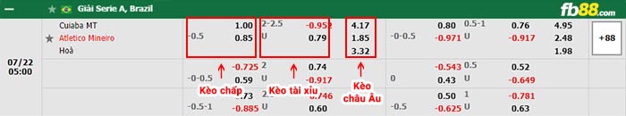 fb88-bảng kèo trận đấu Cuiaba vs Atletico Mineiro