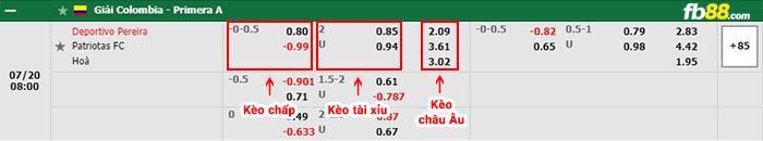 fb88-bảng kèo trận đấu Deportivo Pereira vs Patriotas FC