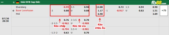 fb88-bảng kèo trận đấu Elversberg vs Leverkusen