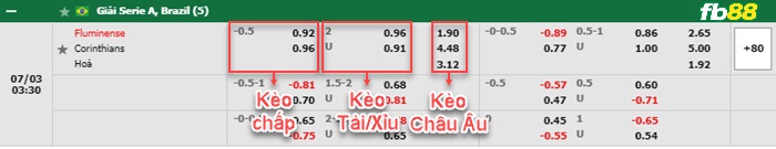 Fb88 bảng kèo trận đấu Fluminense vs Corinthians