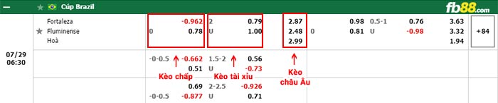 fb88-bảng kèo trận đấu Fortaleza vs Fluminense