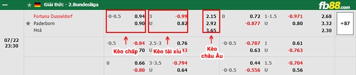 fb88-bảng kèo trận đấu Fortuna Dusseldorf vs Paderborn